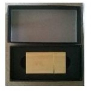 USB 8GB TARJETA BLANCA C/ESTUCHE PLASTICO