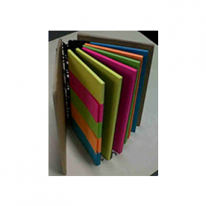 Libreta o set de posit de colores