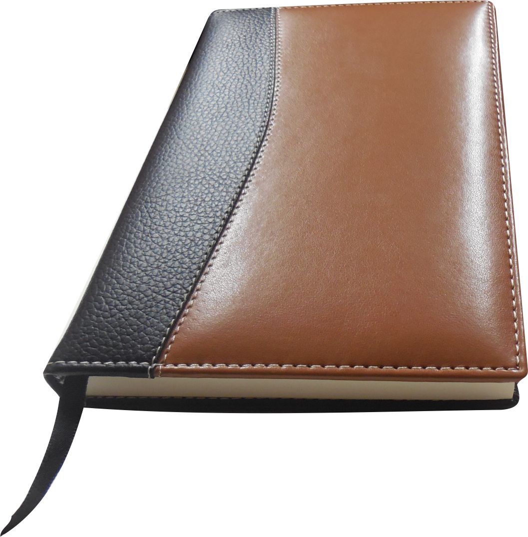 agenda ejecutiva de biocuero en allpublicidad